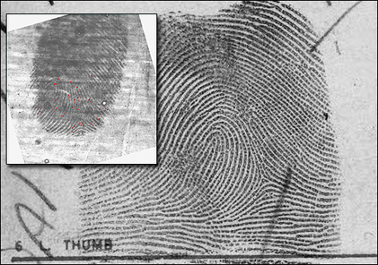 fingerprint forensic